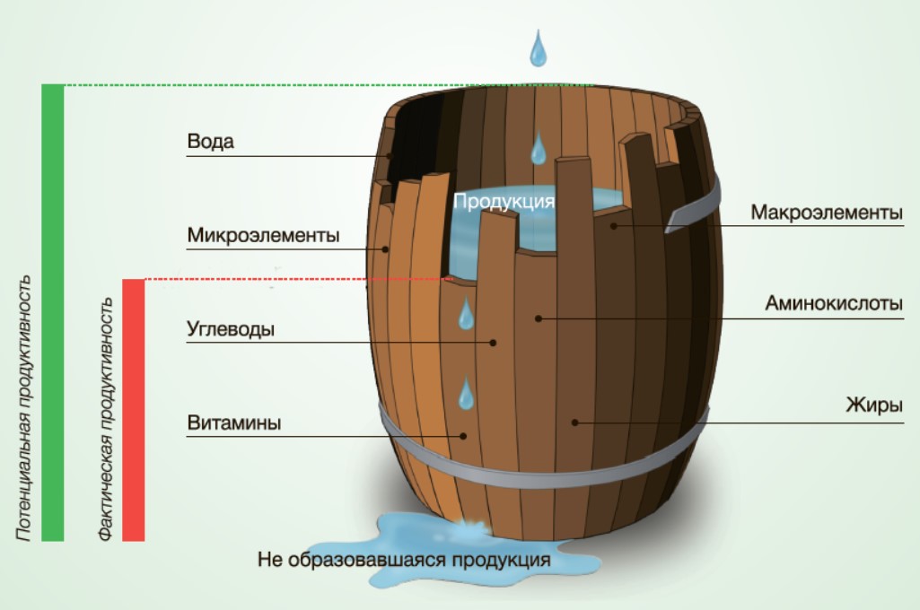 Рисунок Фактическая продуктивность
