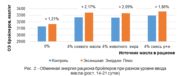 Рост обменной энергии рациона бройлеров на 14-21 сутки