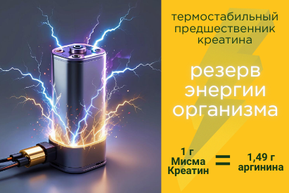 Кормовая добавка для повышения энергии рациона Мисма Креатин