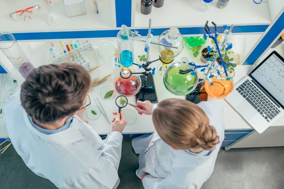 Механизмы действий и комплексные свойства натуральных кормовых добавок Механизмы действий и комплексные свойства натуральных кормовых добавок