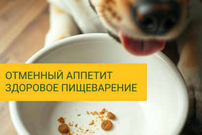 Защищенный бутират натрия для оптимизации процессов пищеварения