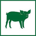 porosenok-150x150