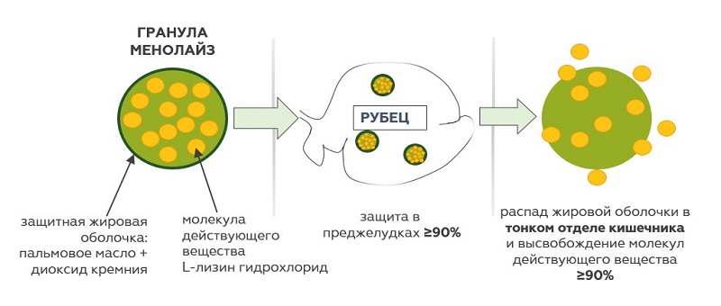 Защитная гранула кормового лизина Менолайз Защитная гранула Менолайз