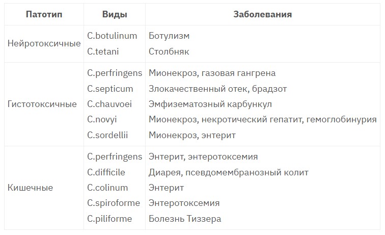 таблица1_Патогенные виды клостридий табл.1_Патогенные виды клостридий