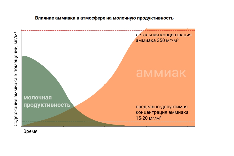 Влияние аммиака на молочную продуктивность