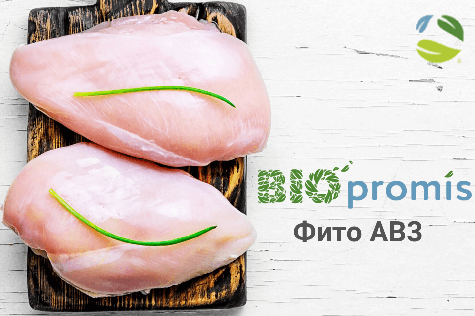 Влияние на качество мяса Биопромис Фито АВ3 при использовании окисленного масла в рационе Влияние на качество мяса Биопромис Фито АВ3 при использовании окисленного масла в рационе