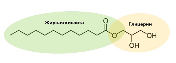моноглицерид моноглицерид